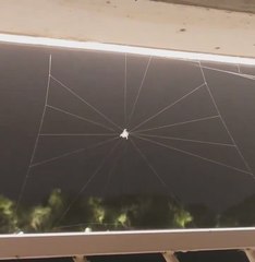 La creación de la telaraña perfecta captada a cámara rápida