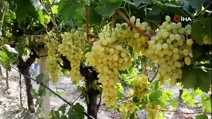 Alaşehir Gümrüğünden 69 ülkeye ihracat