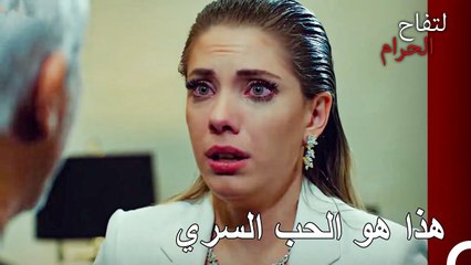 حقيقة العلاقة التي صدمت هاليت - التفاح الحرام الحلقة ال 61