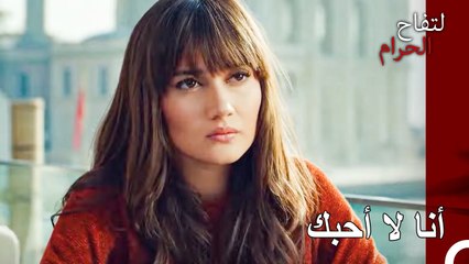 لا توجد إمكانية لهذا الحب عندما تحب شخصا آخر - التفاح الحرام الحلقة ال 62