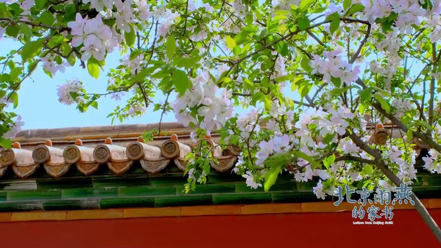 Exhibition of 2024 ISVC Outstanding Works《Letters From Beijing Swift》Episode 1