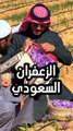 زراعة الزعفران في السعودية : الزرعات النوعية