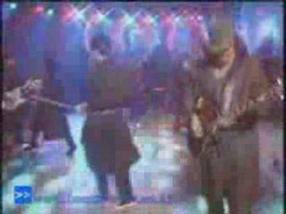 Hound dog - Rocks