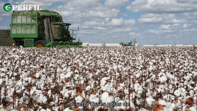 De Manchester a Hollywood: Jennifer Lawrence, agropecuária e futebol se unem em um sábado emocionante