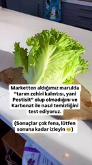 Türkiye kanser pandemisiyle karşı karşıya! Karbonatlı ve sirkeli su da sebzelerdeki pestisiti yok etmiyormuş!
