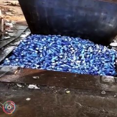 "Tough Jobs, Stronger Hearts: Inspirational Field Stories"