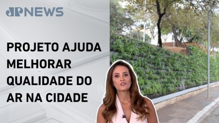 Av. 23 de maio, em SP, ganha bosque natural com mais de mil árvores; Patrícia Costa analisa