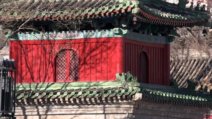 2024 a été l'année la plus chaude jamais enregistrée en Chine