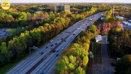 P2.Người bí ẩn giúp Elon Musk vận hành đế chế nghìn tỷ USD