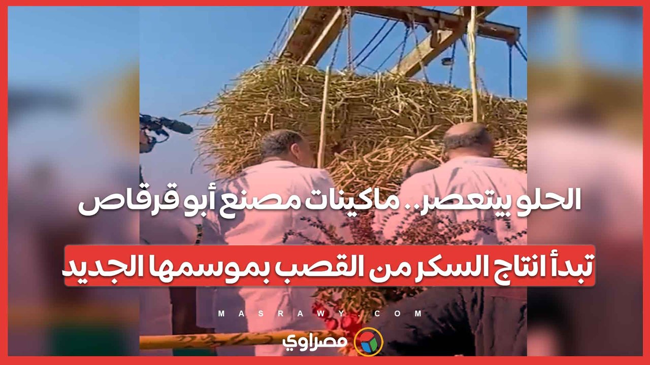 الحلو بيتعصر.. ماكينات مصنع أبو قرقاص تبدأ انتاج السكر من القصب بموسمها الجديد