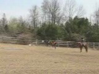 COURS D'ÉQUITATION