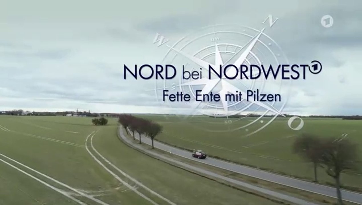 Nord bei Nordwest -25- Fette Ente mit Pilzen