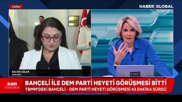 DEM Parti heyeti, Bahçeli ile görüştü