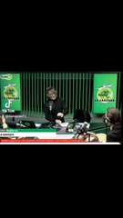 i Mao mao di luca scazzi