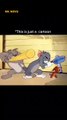 Tom and Jerry Hollywood Movie Scenes