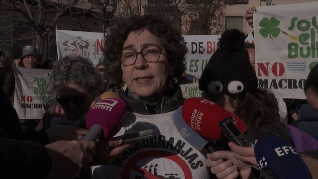 Unas 15 personas se concentran en Toledo ante la sede del Gobierno de Castilla-La Mancha para exigir a la Junta que no reactive las licencias a las macrogranjas