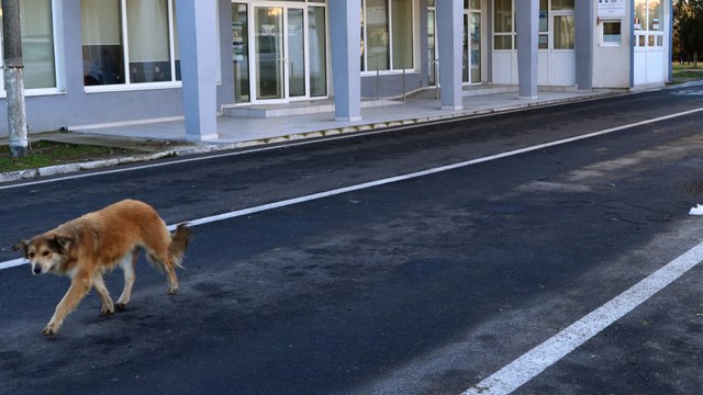Así dieron la bienvenida al espacio Schengen Bulgaria y Rumanía