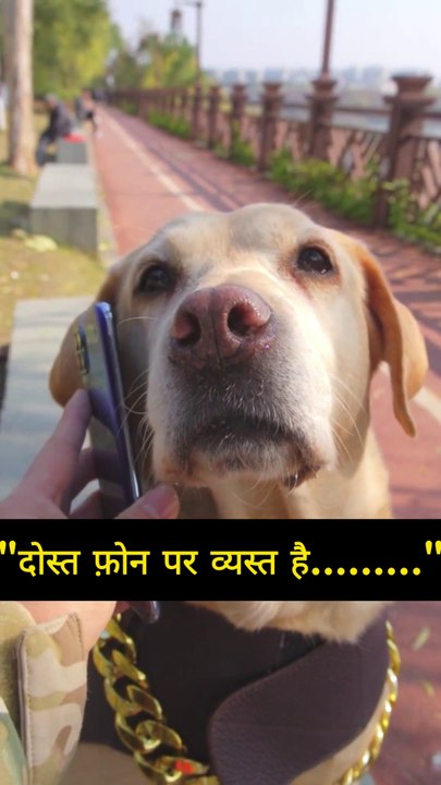 Buddy attending phone call