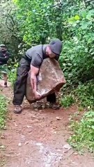 Funny Like A Boss Compilation 2025 Try not to laugh