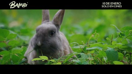 Bambi, una vida en el bosque - Spot 1