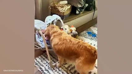 When we teach each other to grow up ❤️ Cute Moments Dog and Human