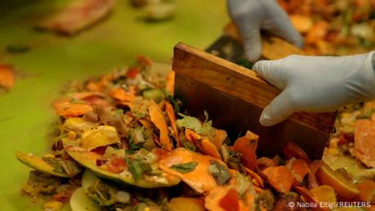 Waste not, want not? South Africa's food waste crisis