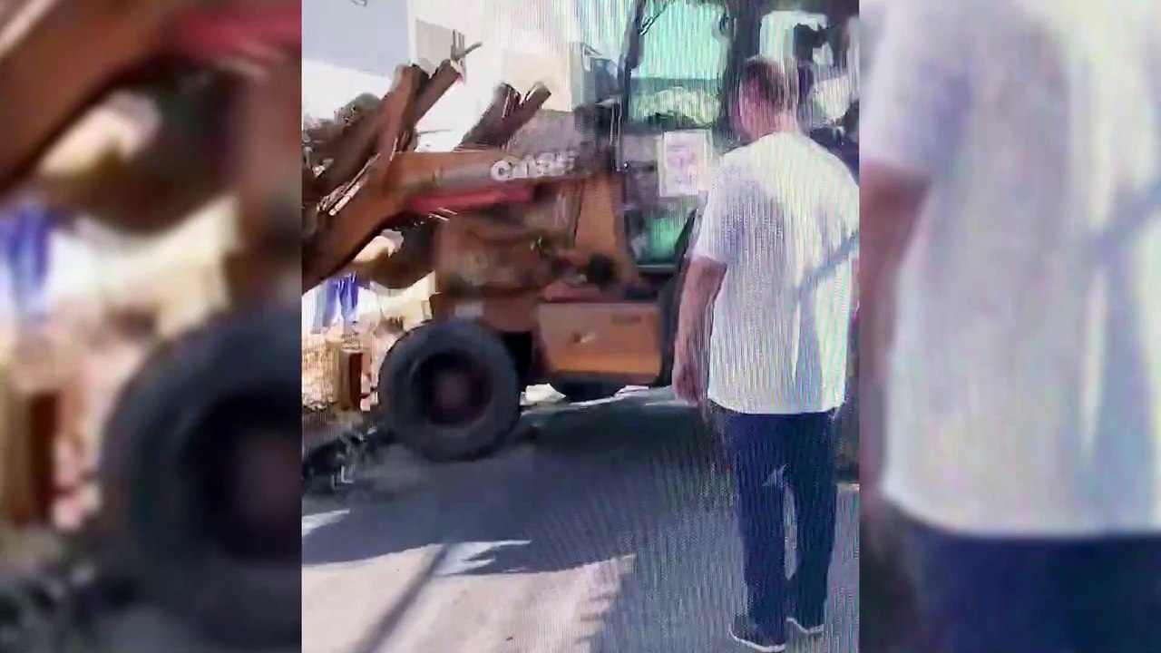Que nojo! Repórter é “atacada” por várias baratas durante entrada ao vivo