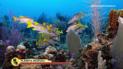 Planeta Incrível: veja detalhes das praias paradisíacas do México