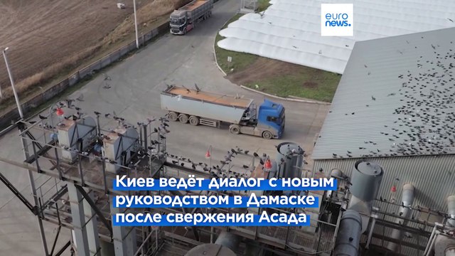 Украина восстановит дипотношения с Сирией и будет поставлять ей зерно (Зеленский)