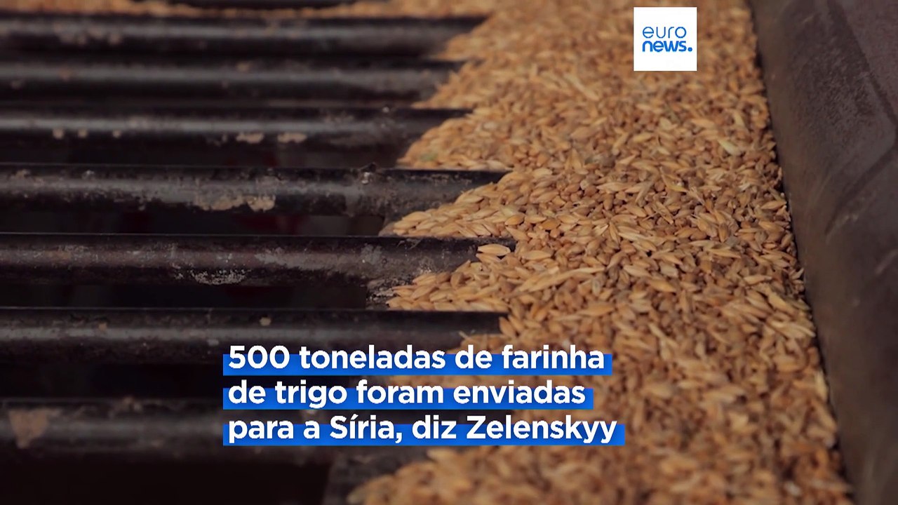 Ucrânia vai continuar a apoiar a Síria com ajuda humanitária, afirma Zelenskyy