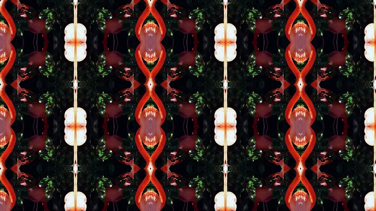 10 Mind Blowing Facts You Won't Believe!  10 Amazing Facts to Blow Your Mind!