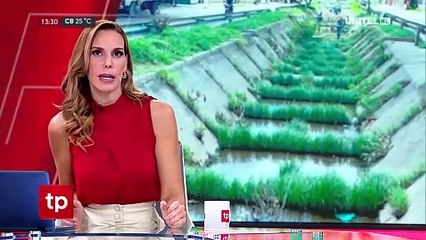 Molestia en vecinos por la maleza y suciedad en plazuelas y canales de drenaj