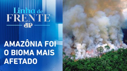 Número de queimadas em 2024 foi o maior em 15 anos | LINHA DE FRENTE