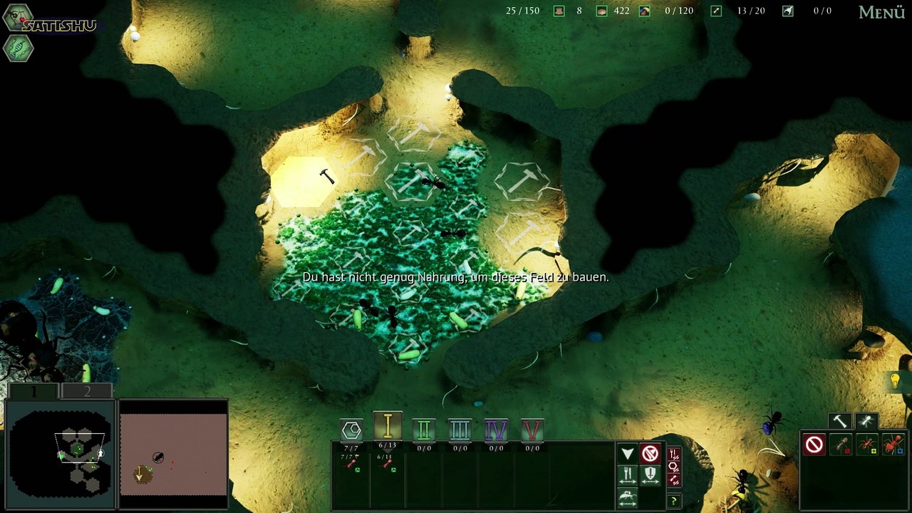 Formicarium-Ausbau. | Empires of the Undergrowth | Ep. 18