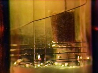 ConFusion in a Jar: Cold Fusion Breakthrough ⚗️