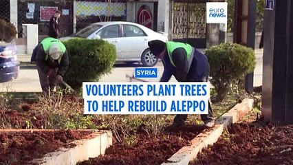 Volunteers plant trees as Syria's battered Aleppo returns to life