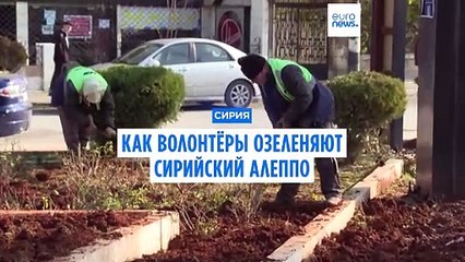 Волонтёры превращают Алеппо в зелёный город 🌿