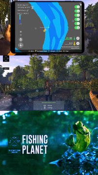 How to catch Decorated Channel Catfish at Mudwater River | Fishing Planet