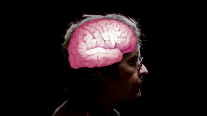 Dans la tête de Charles Swan III (2012) - Bande annonce