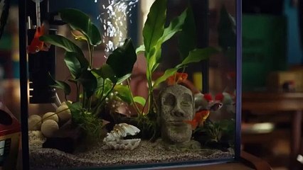 Calvin Watkins on McCarthy & Zimmer's future in Dallas, if Lance should play vs. Commanders