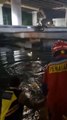 DAMKAR SELAMATKAN WANITA DIDUGA HENDAK BUNUH DIRI DI KALI ANCOL,PADEMANGAN, JAKARTA UTARA