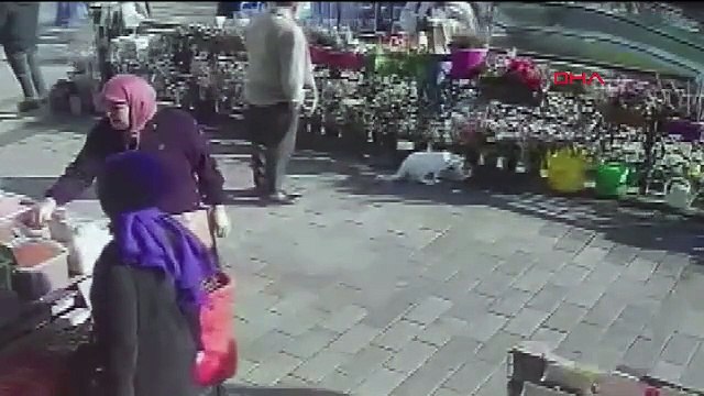 İstanbul - Gaziosmanpaşa ve Fatih'te yaşanan hırsızlık anları güvenlik kamerasında