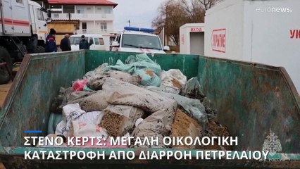 Πετρελαιοκηλίδα στη Μαύρη Θάλασσα: Περισσότερα από 30 δελφίνια νεκρά