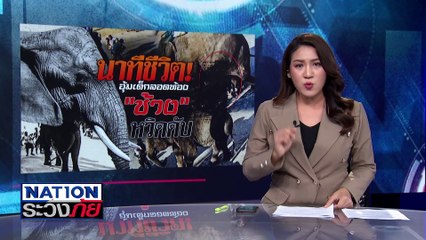 นาทีชีวิต! อุ้มเด็กลอดท้องช้าง หวิดดับ| เนชั่นระวังภัย | 6 ม.ค.68 | PART 1