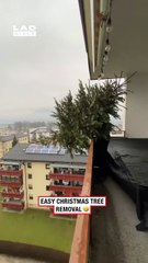 Getting rid of the Christmas tree