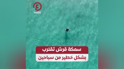 سمكة قرش تقترب بشكل خطير من سباحين
