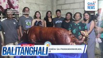 Jumbo lechon na handa sa pamamanhikan, may bigat na 90 kilos | Balitanghali