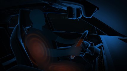 DS N°8 - DS Neck Warmer