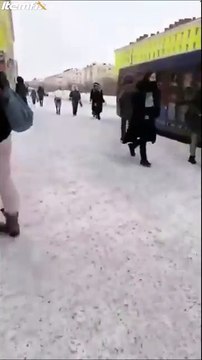 Les animaux de compagnie en Sibérie... Flippant