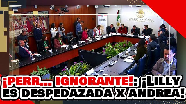 ¡PERR… IGNORANTE! ¡LILLY TÉLLEZ ’La NARKO SECRETARIA’ es DESPEDAZADA por ANDREA y GEOVANNA!